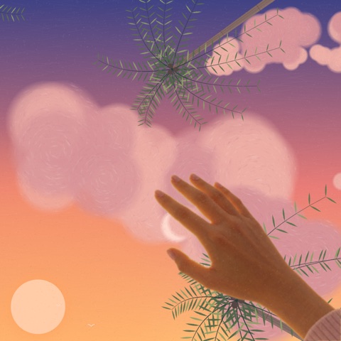 天空模拟器：躺着把手举向傍晚海边的天空