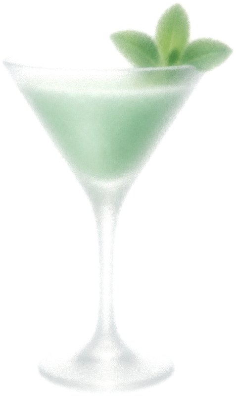 grasshopper
